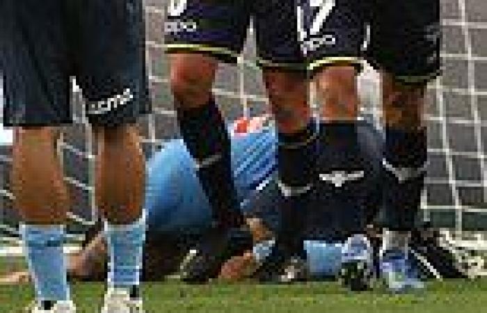 sport news Sydney FC 0-1 Wellington Phoenix: Ex-Premier League star Adam Le Fondre misses ... trends now