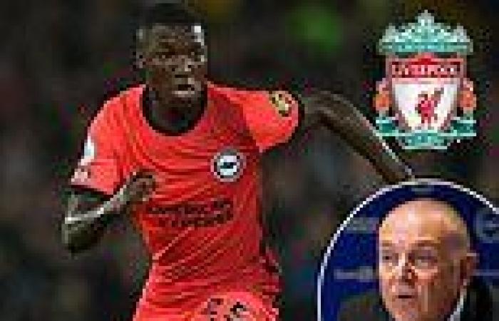 sport news Brighton 'haven't received any offers' for Moises Caicedo, amid Liverpool and ... trends now
