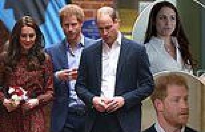 Harry claims William and Kate 'stereotyped' Meghan as 'biracial American ... trends now