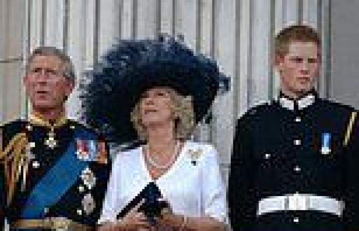Prince Harry launches blistering attack on Camilla, branding her 'dangerous' in ... trends now
