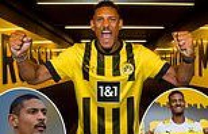sport news Sebastien Haller sets his eyes on a January 22 comeback for Borussia Dortmund ... trends now