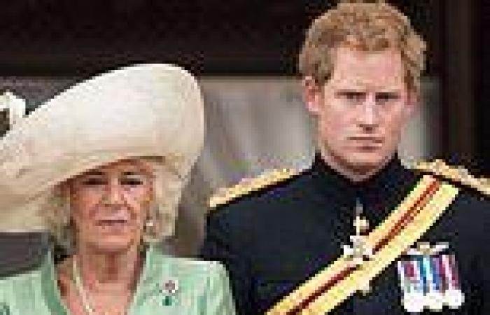 DAILY MAIL COMMENT: This assault on Camilla shames Prince Harry trends now