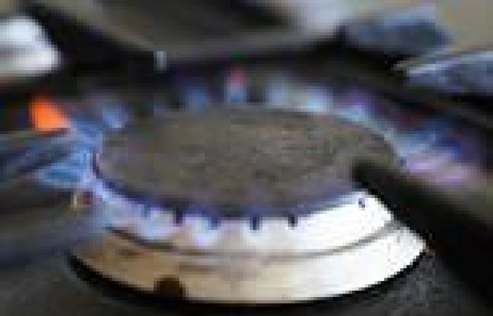 US considers BANNING gas stoves over rising concerns it causes health and ... trends now