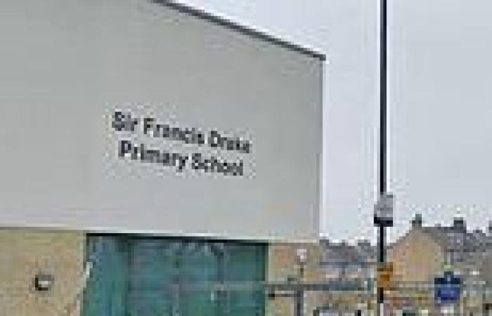 Spanish Armada hero Sir Francis Drake is CANCELLED by school named after him trends now