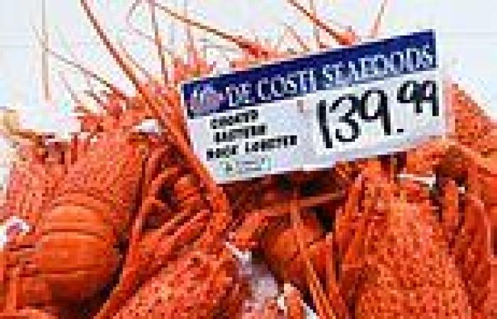 American TikTok user rages over the price of seafood in Australia compared to ... trends now
