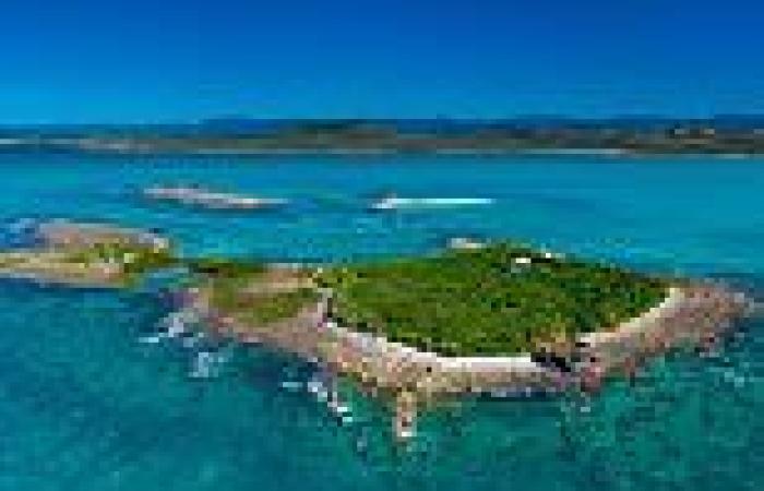 Victor Island in the Great Barrier Reef for sale again trends now