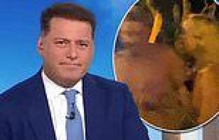 Michael Clarke, Jade Yarbrough video: Karl Stefanovic brushes off melee on Today trends now