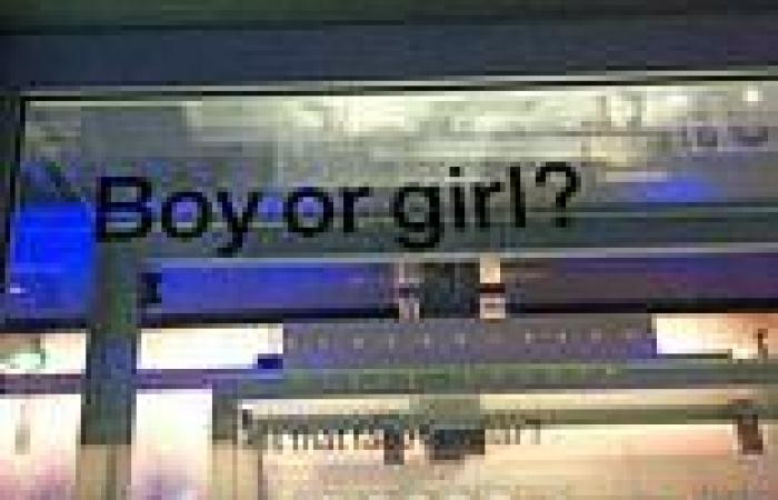 Science Museum removes trans inclusive 'Boy or Girl' display featuring fake ... trends now