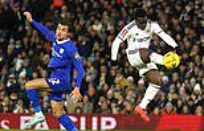 sport news Fans compare Gnonto's stunning volley for Leeds to Di Canio's famous goal for ... trends now