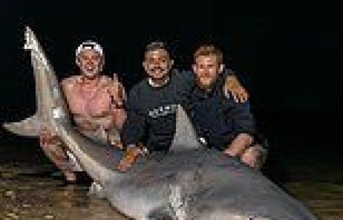 Bull shark caught at Dolls Point, Sydney: Botany Bay fishermen tag, release ... trends now