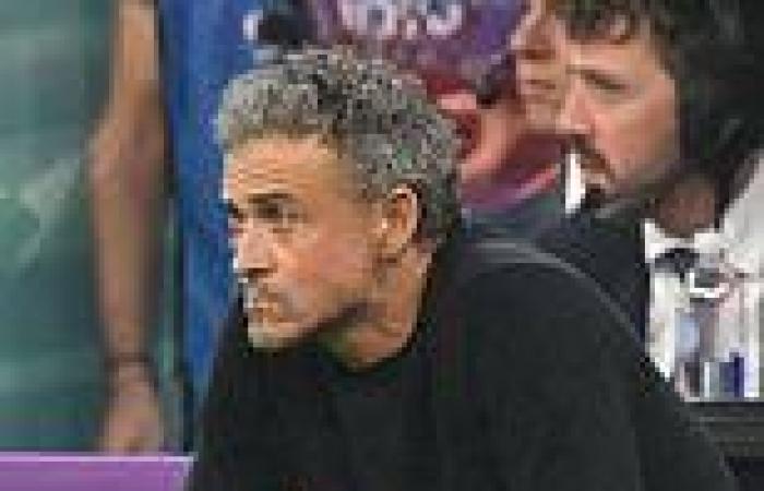 sport news Former Spain and Barcelona boss Luis Enrique in talks to become Brazil manager ... trends now