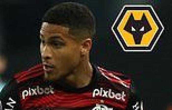 sport news Wolves asked to increase their offer for £15 million Joao Gomes following ... trends now