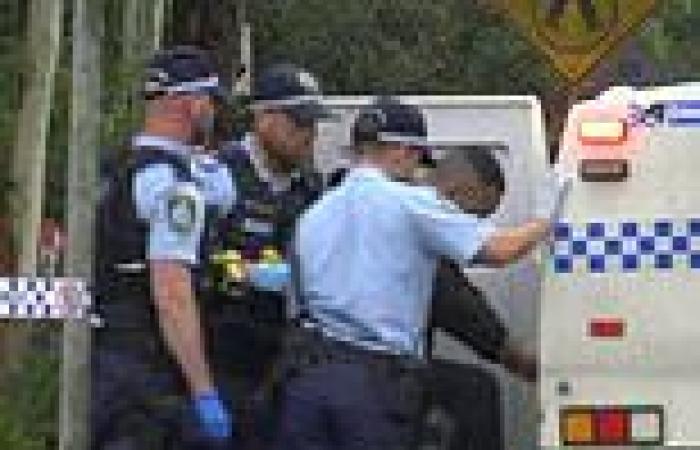 Hamzy crime clan associate allegedly abducted by four men in Sydney's Manly trends now
