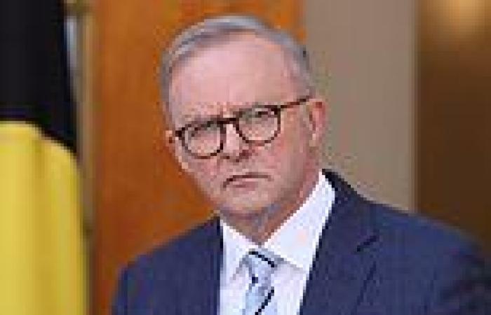 Anthony Albanese's Voice referendum a big gamble  trends now