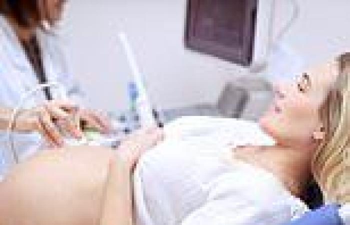 Women should get up to SEVEN ultrasounds in pregnancy, expert claims trends now