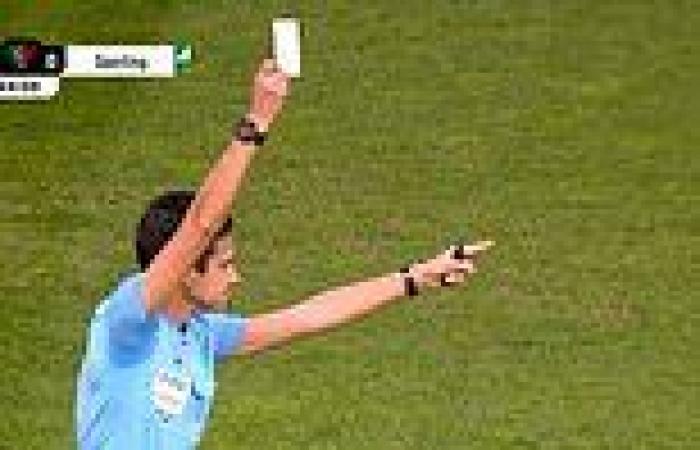 sport news What is a white card? Why is it shown by referees? And could we see it in the ... trends now