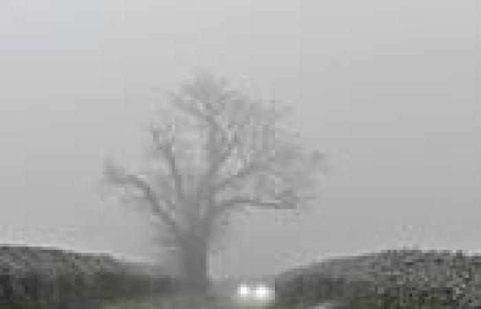 What is freezing fog? Cold weather in the south of the UK is supercooling ... trends now