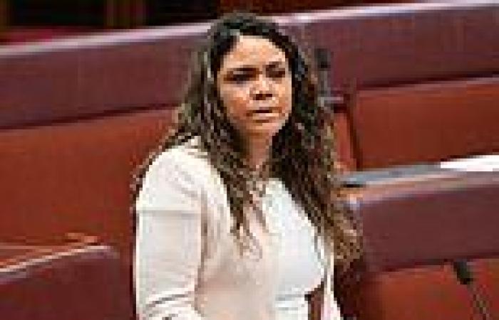 Jacinta Price slams Prime Minister Anthony Albanese over Alice Springs war zone trends now