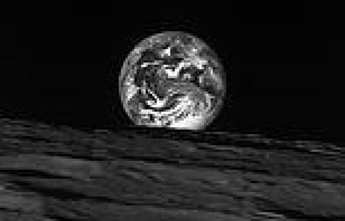 South Korea's lunar orbiter Danuri shares STUNNING black-and-white photos of ... trends now