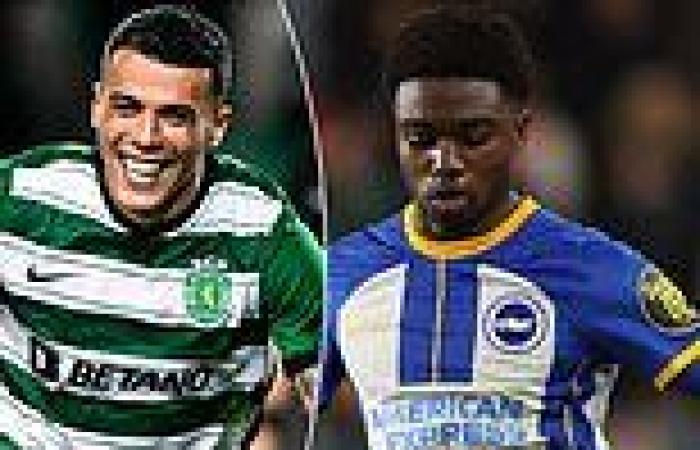 sport news Sporting Lisbon enquire about signing out of favour Brighton defender Tariq ... trends now