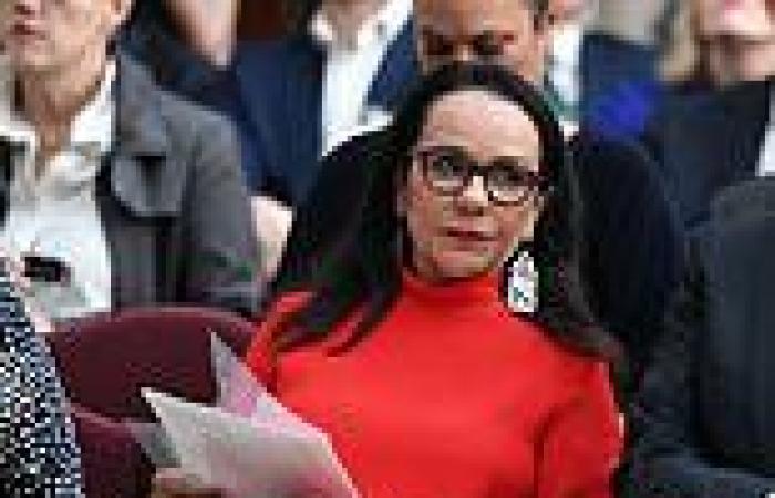 Radio host's blistering attack on Linda Burney's Voice claim: 'disgraceful, an ... trends now