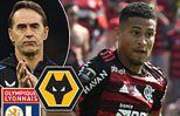 sport news Wolves confident of FINALLY signing Brazilian wonderkid Joao Gomes from Flamengo trends now