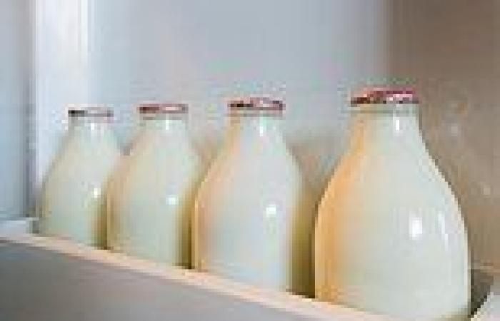 Glass bottles preserve milk's flavour better, scientists say trends now