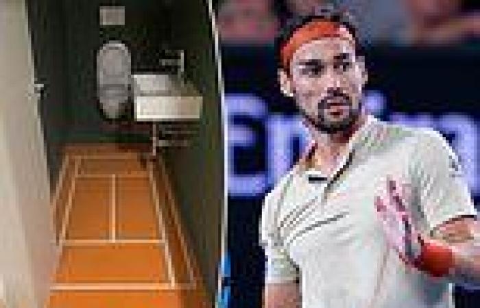 sport news Fabio Fognini shows off his TENNIS COURT themed toilet - minus the net trends now