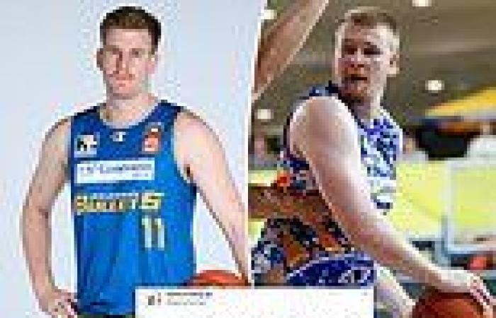 sport news NBL star Harry Froling speaks on 'scary' coward punch that left him with a ... trends now