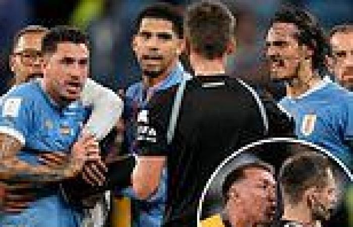 sport news Jose Gimenez and Edinson Cavani banned following ugly scenes after Uruguay's ... trends now