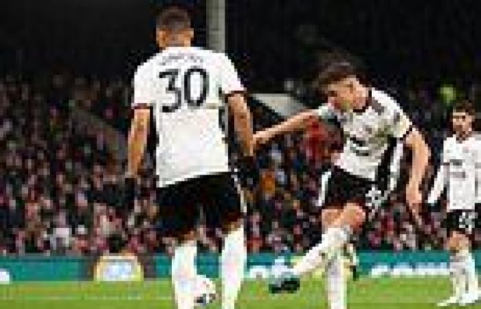 sport news Fulham 1-1 Sunderland: Tom Cairney scores to earn Marco Silva's side an FA Cup ... trends now