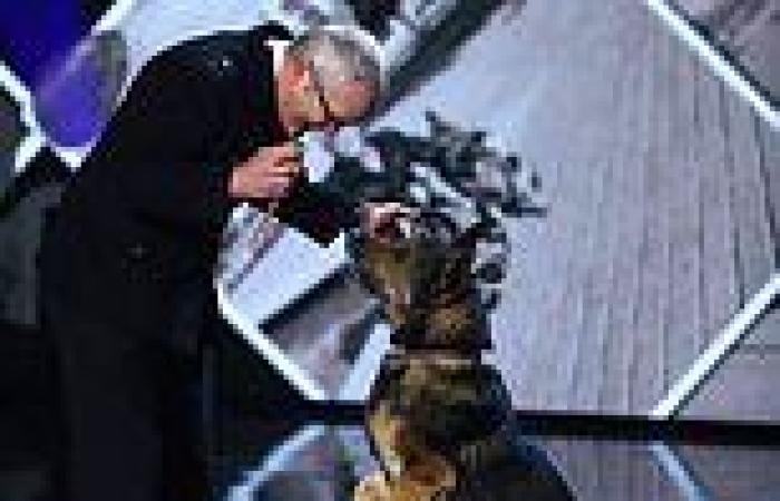 Britain's Got Talent alsatian's police handler has dogs taken away 'in illicit ... trends now