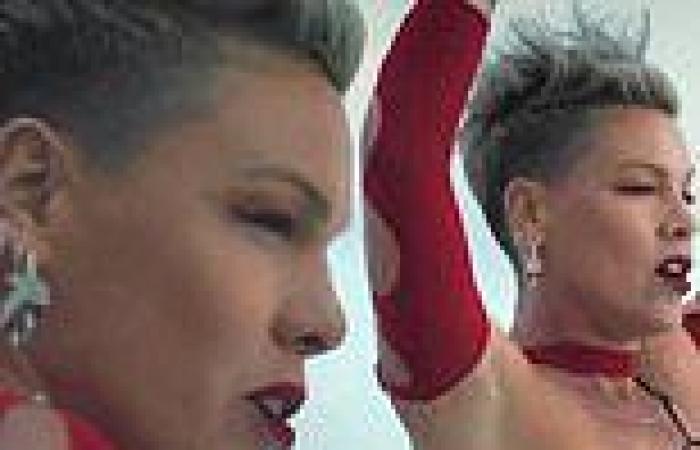 Pink drops new music video for single Trustfall as she embarks on tour trends now
