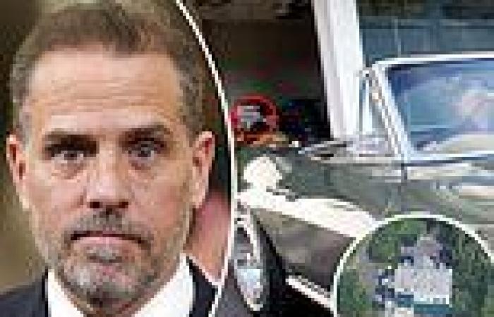 Hunter Biden turned Joe's Delaware mansion into a HOME OFFICE while stuffed ... trends now