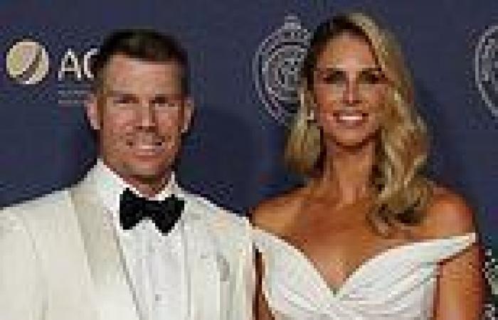 sport news David Warner confesses he wants to skip Aussie cricket's biggest awards ... trends now