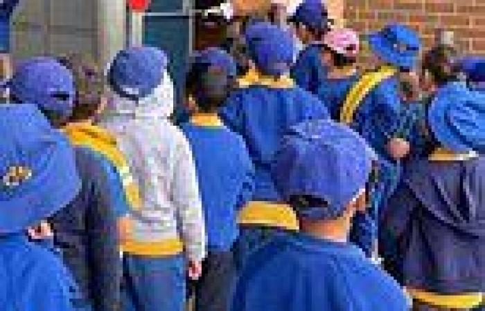 Pickles Schoolwear, Lowes, Moorebank Uniforms charge more for overweight school ... trends now