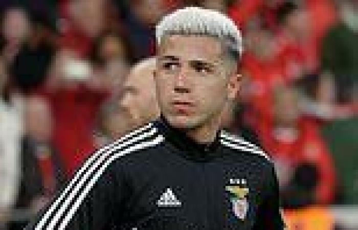 sport news Enzo Fernandez will MISS Benfica's game tonight as Chelsea push to finalise ... trends now