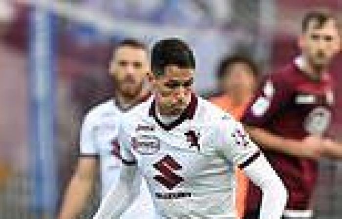 sport news Fulham confirm the singing of Torino midfielder Sasa Lukic for an undisclosed ... trends now