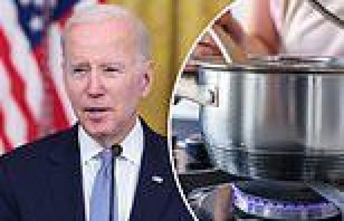 Biden's Energy Department introduces new standards for your OVENS and cooking ... trends now