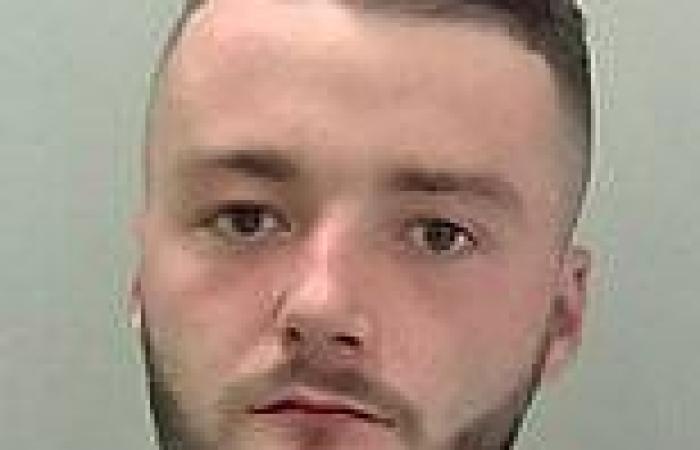 Thug who battered paramedic trying to help him is jailed for two years  trends now