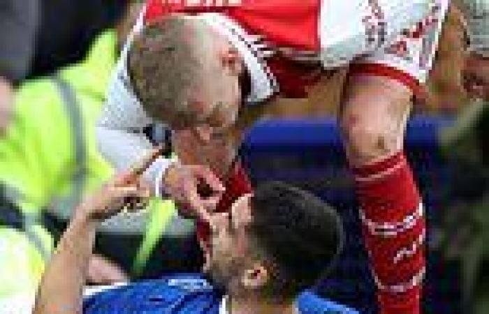 sport news Neal Maupay rattles Arsenal AGAIN during Everton's win over Premier League ... trends now