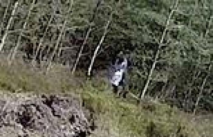 Drone appears to capture 'black eyed girl' stalking scene where killer murdered ... trends now