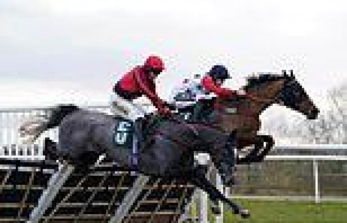 sport news Robin Goodfellow's racing tips: Best bets for Monday, February 6 trends now