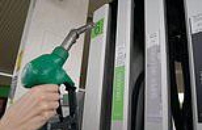 Ministers push for 'heat map' of fuel prices from every petrol station in the ... trends now