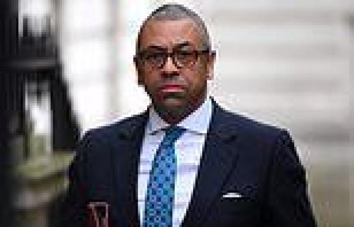 James Cleverly says arming Kyiv is the only path to peace trends now