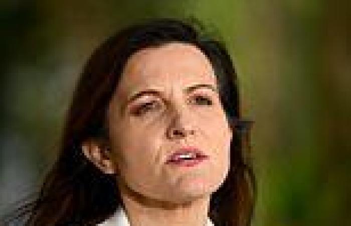 Former Labor MP Tania Mihailuk accused by Bankstown mayor Khal Asfour of ... trends now