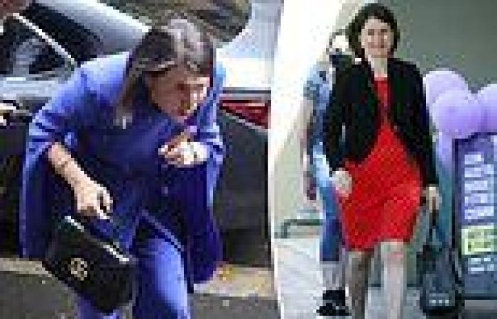 Gladys Berejiklian shows off her love for designer labels by clutching a $3,905 ... trends now