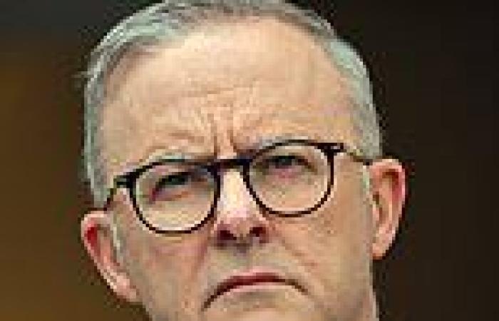 Anthony Albanese and treasurer Jim Chalmers 'at war' over housing tax policy, ... trends now