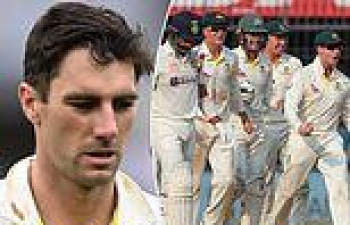sport news Fans call for Steve Smith to take over as Aussie Test captain permanently from ... trends now