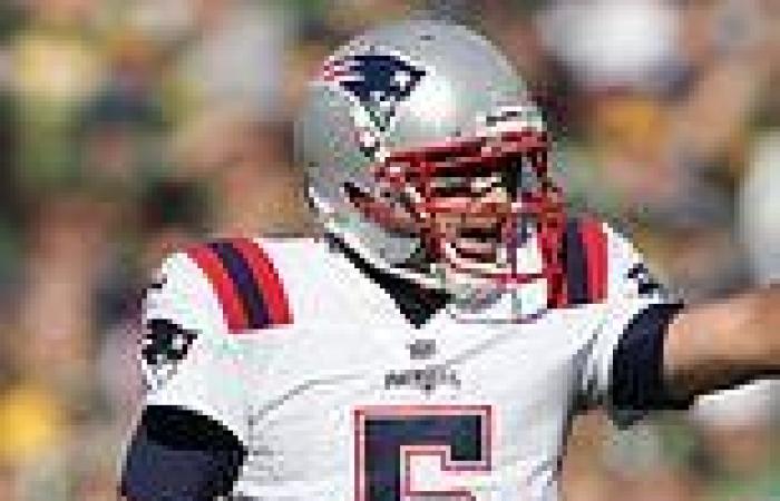 sport news Veteran New England Patriots quarterback Brian Hoyer 'has been informed he will ... trends now